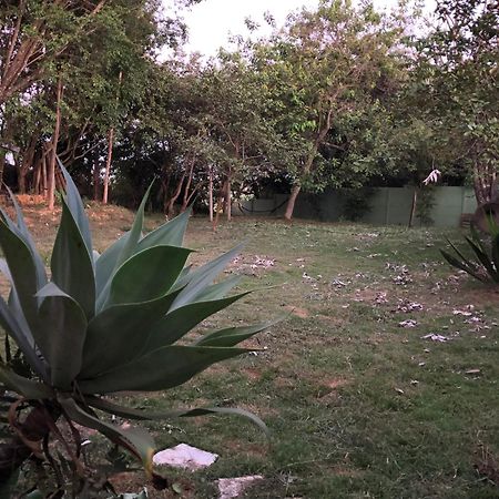 Apartmán Gerais Loft São Roque de Minas Exteriér fotografie